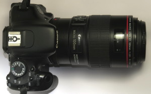 canon 600 d dental photography