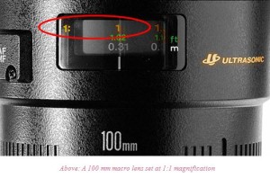 magnification ratio in dental photography